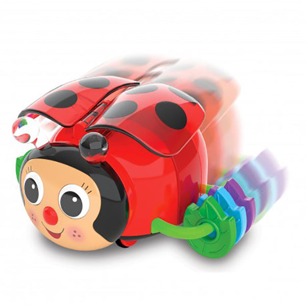 Crawl About Ladybug 557624