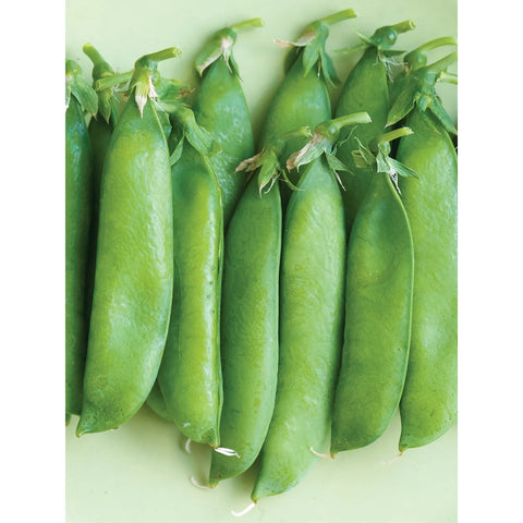 Sugar Daddy Peas