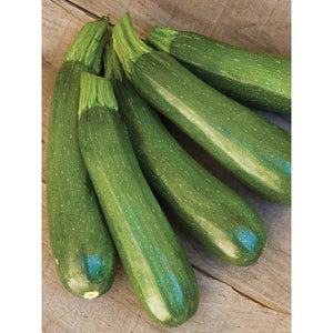 Organic Squash Dark Green Zucchini