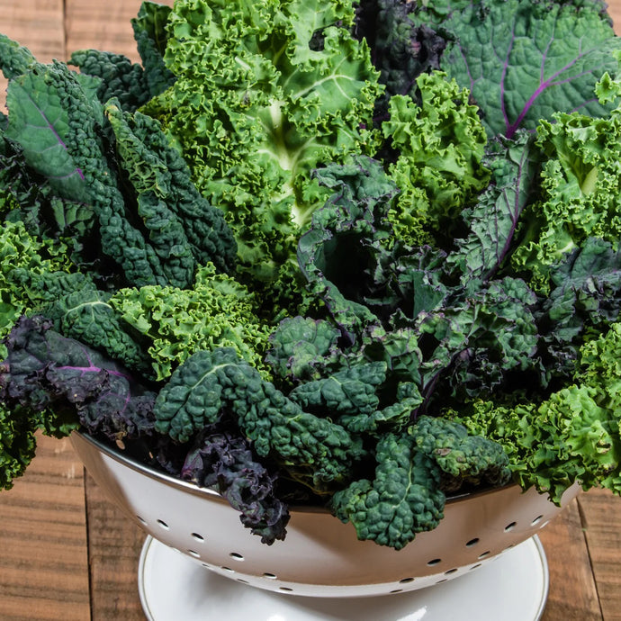 Kaleidoscope Blend Kale