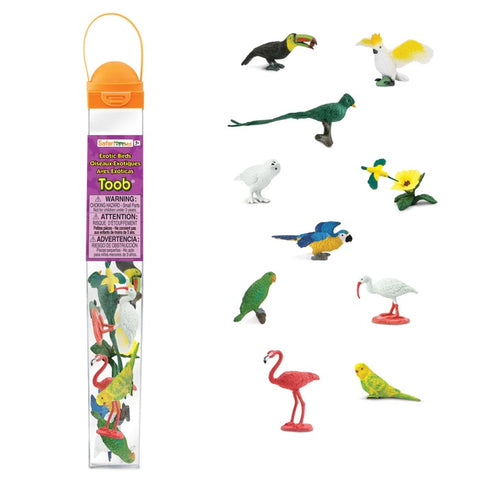 Exotic Birds 680404