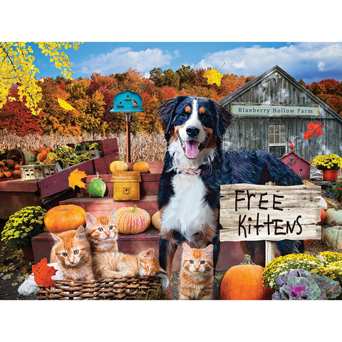 Blueberry Hollow Farm