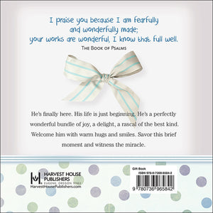 Little Boys Are Wonderfully Made Back Cover