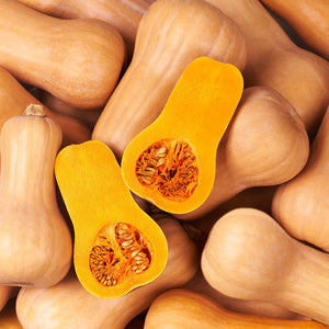 Waltham Butternut Squash