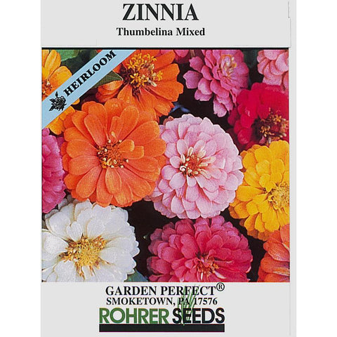 Thumbelina Mix Zinnia