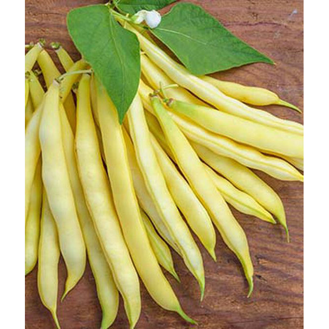 Golden wax beans