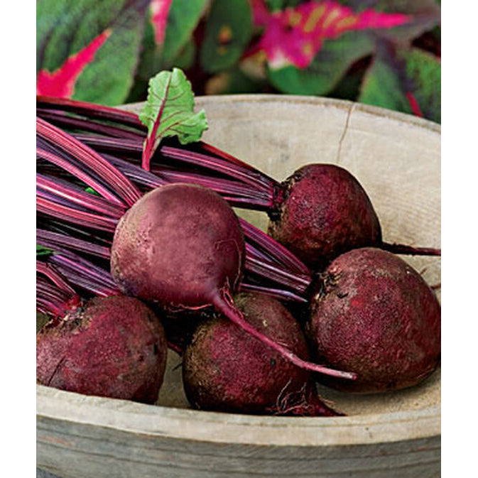 Red beets