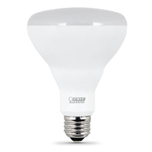 LED Light Bulb BR30