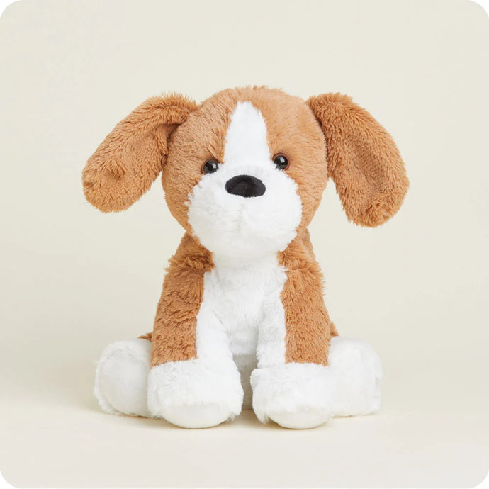 Beagle Microwavable Soft Plush Toy CP-BGL-1