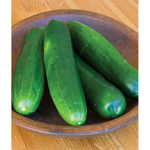 Cucumbers 