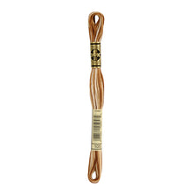 Variegated Tan/Brown Embroidery Floss