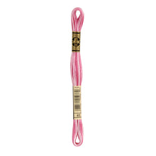 Variegated Baby Pink Embroidery Floss