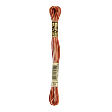 Variegated Terra Cotta Embroidery Floss
