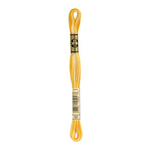 Variegated Yellow Embroidery Floss