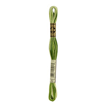 Variegated Avocado Embroidery Floss