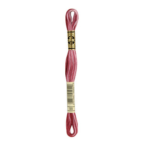 Variegated Mauve Embroidery Floss