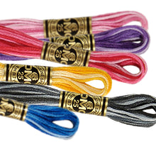 Embroidery Floss - Variegated Colors D-117