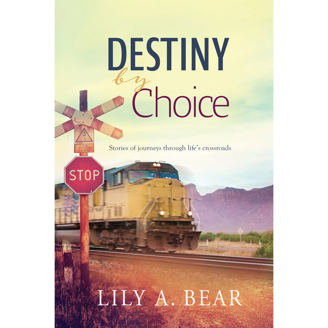 Destiny by Choice by Lily A. Bear 9781949648942
