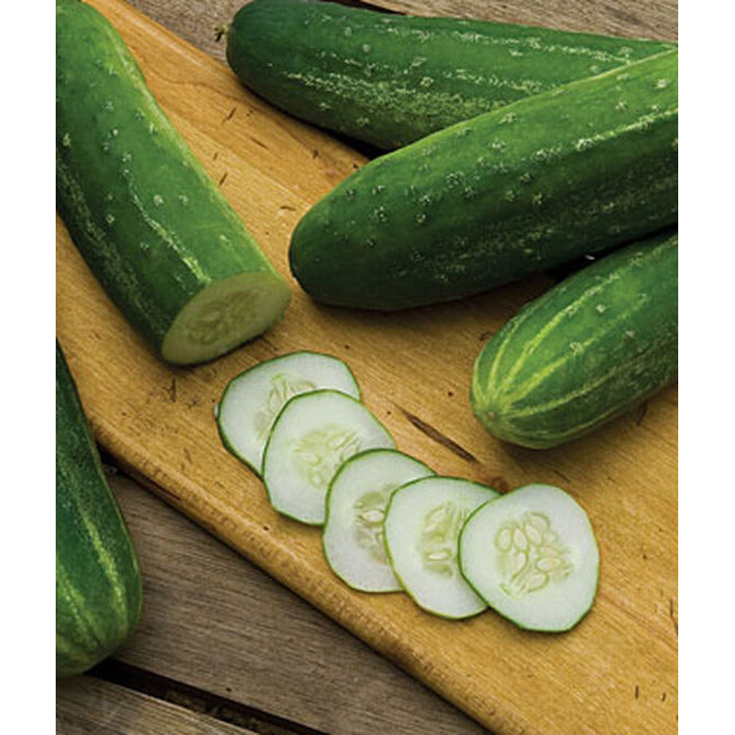 Straight Eight cucumbers