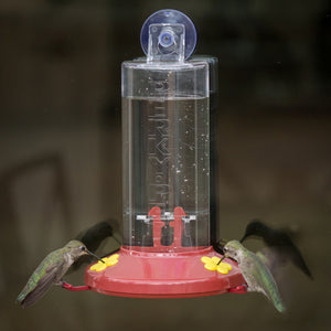 Perky Pet Window Hummingbird Feeder in Use