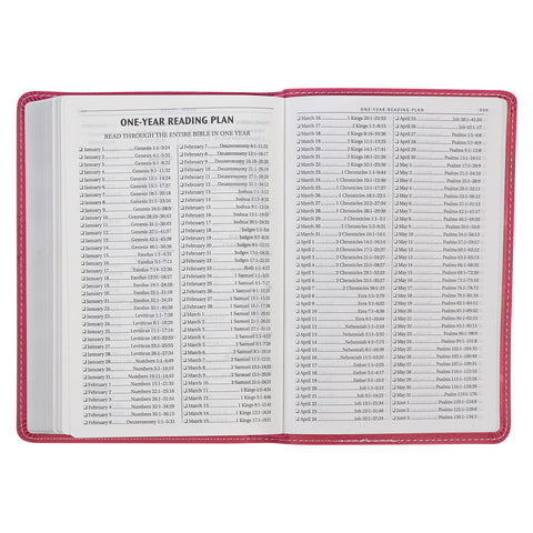 one-year Bible reading plan