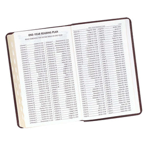 One-Year Bible Reading Plan