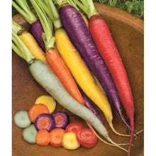 Kaleidoscope carrots