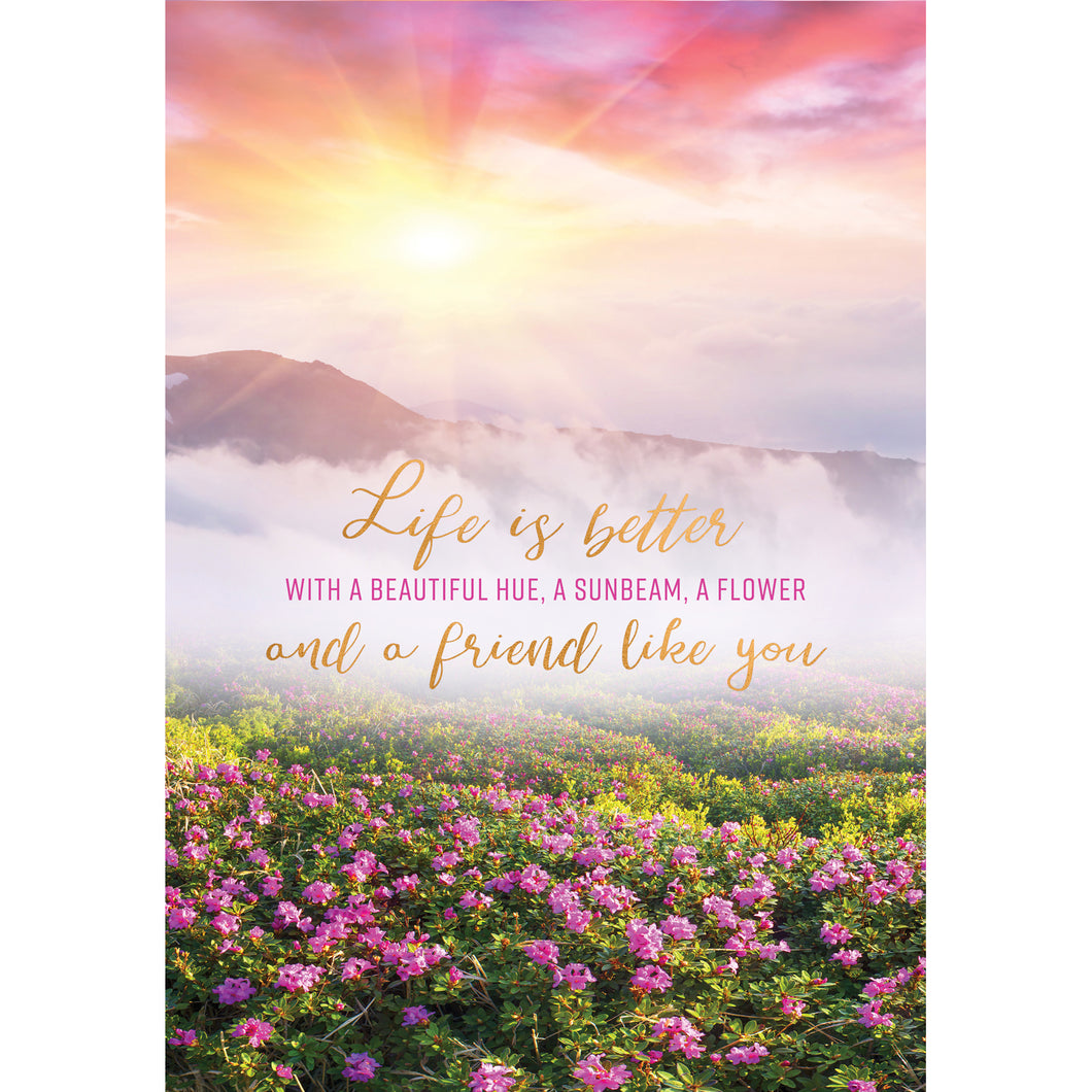 https://goodsstores.com/cdn/shop/products/Life_is_Better_Front_Cover_530x@2x.jpg?v=1681131134