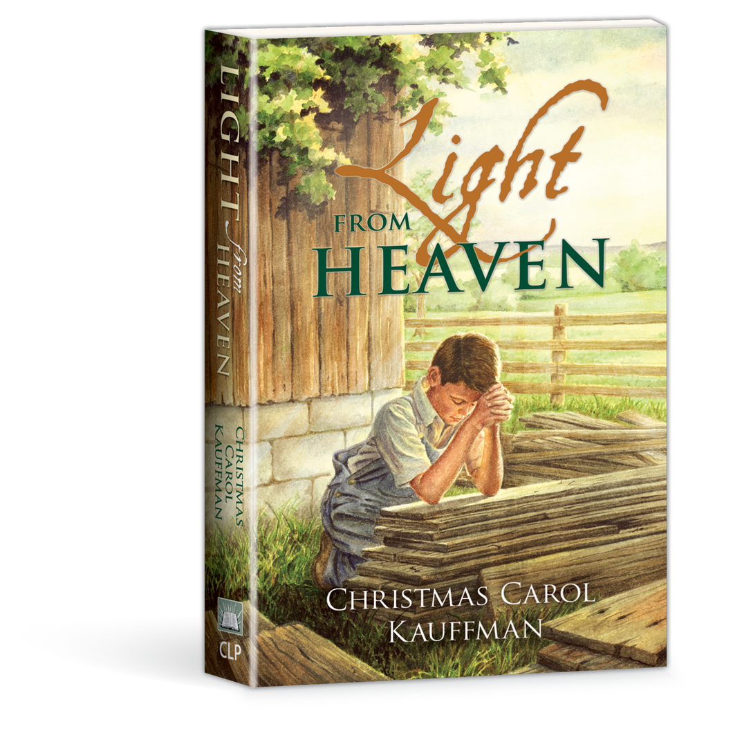 Light from Heaven Book by Christmas Carol Kauffman 358