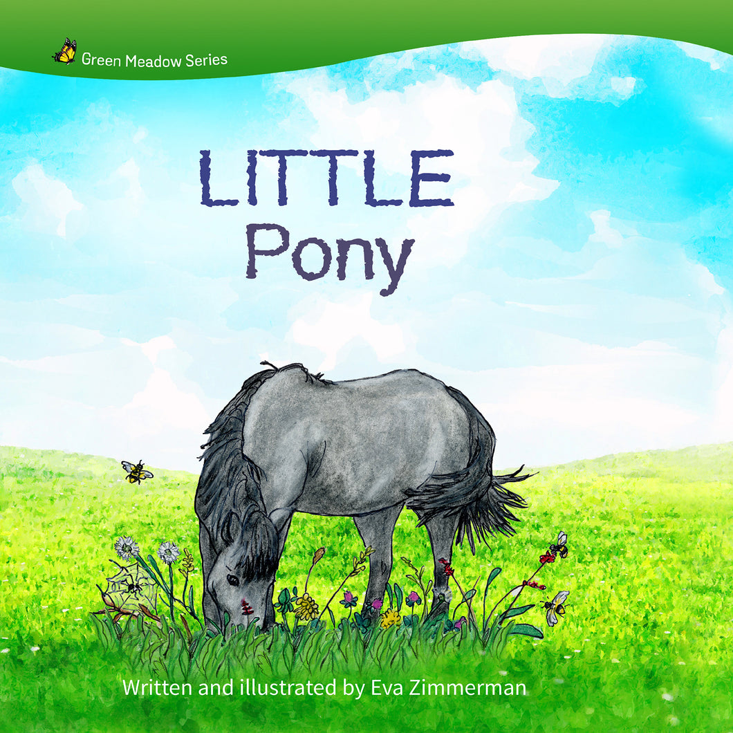 Little Pony EN3197
