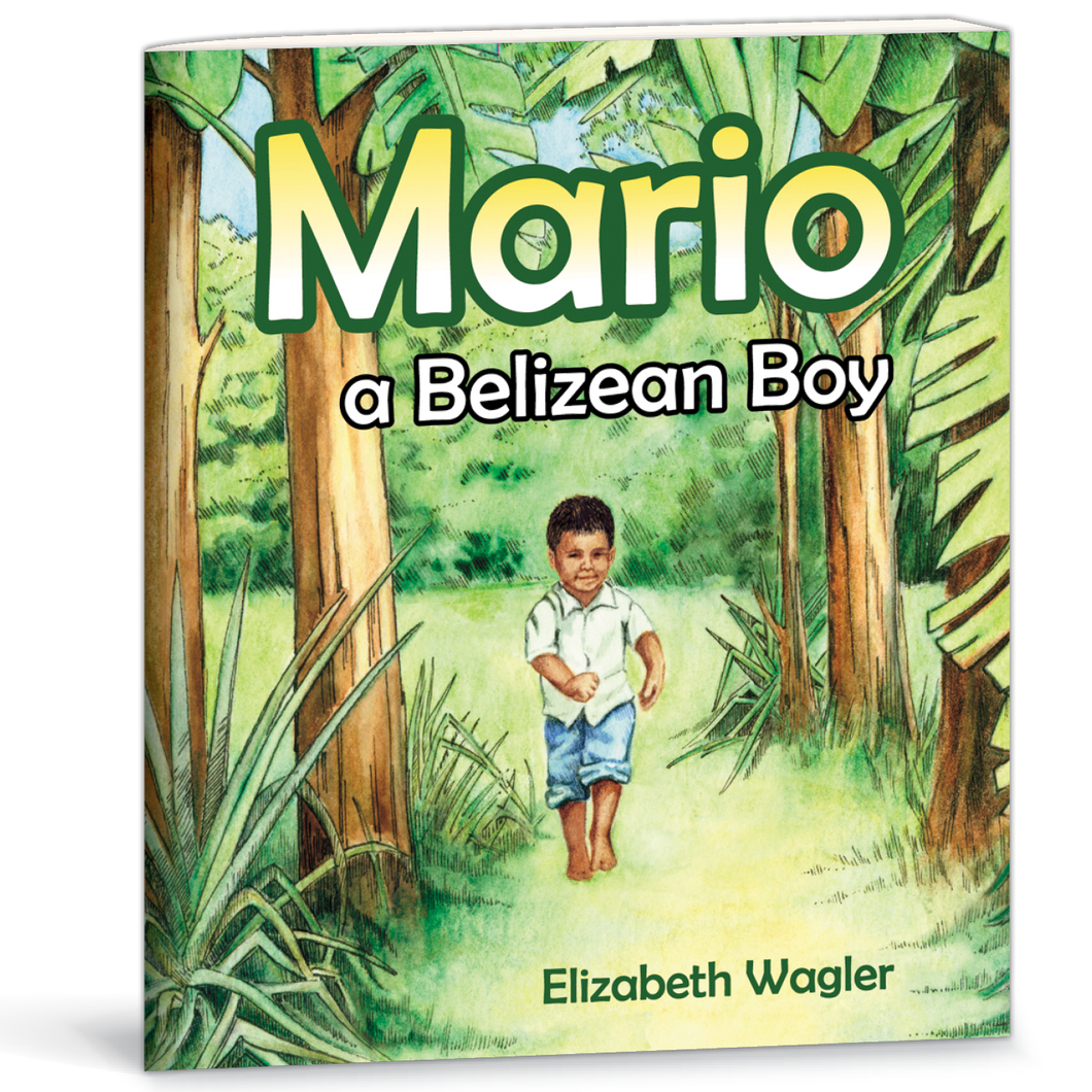 Mario, A Belizean Boy book by Elizabeth Wagler 9780878136155