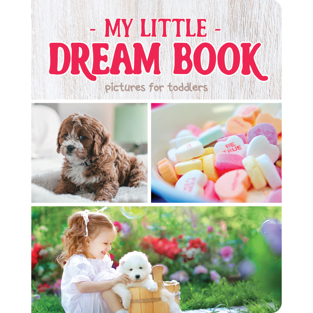 My Little Dream Book