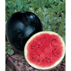 Organic watermelons