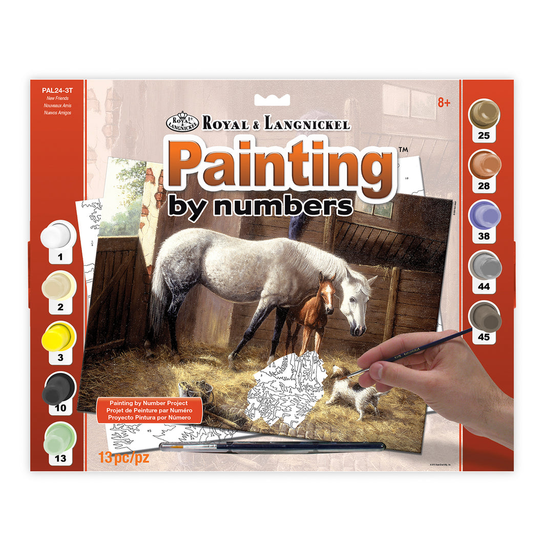 Royal Brush Adult Painting by Numbers Ocean Life Kit