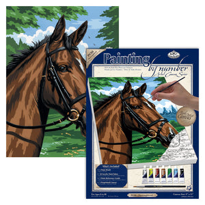 Paint by Number Thoroughbred PCS-8