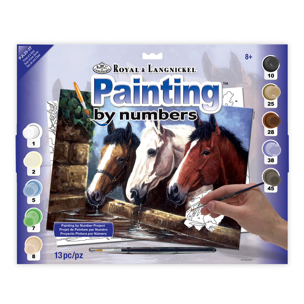 Royal & Langnickel Paint By Numbers Three of a Kind PJL23 – Good's