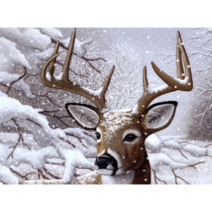 Buck in a snowy woods