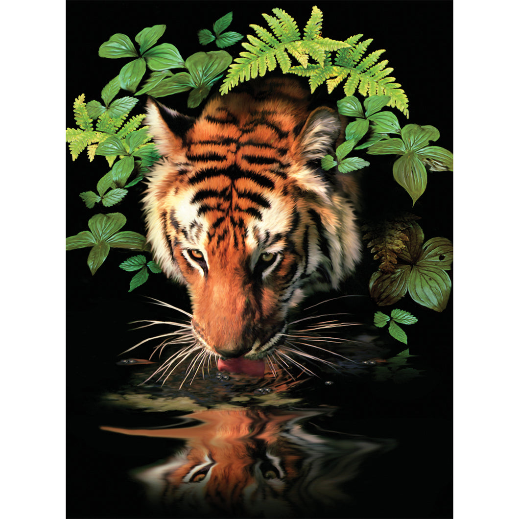Tiger picture