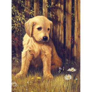 Puppy Paint by numbers set
