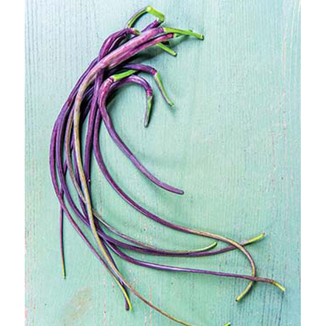 Dragon's Tail radish pods