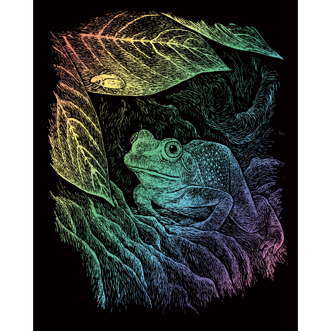 Engraving Art Rainbow Frog RAIN-15