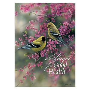 Get Well Cards with birds.