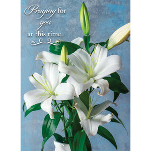 Sympathy Lilies Boxed Cards SBEG22185