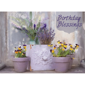 Rustic Celebration Birthday Boxed Cards SBEG22357