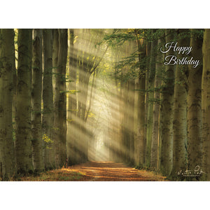 Rays of Light Birthday Boxed Cards SBEG22358