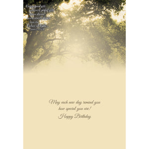 Rays of Light Birthday Boxed Cards SBEG22358