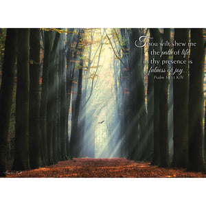 Rays of Light Birthday Boxed Cards SBEG22358