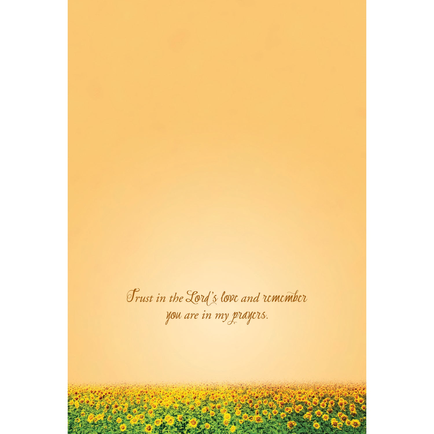 Shared Blessings Thinking of You Sunsets Boxed Cards SBEG22361