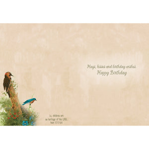 Wee Wildlife Birthday Boxed Cards SBEG22362