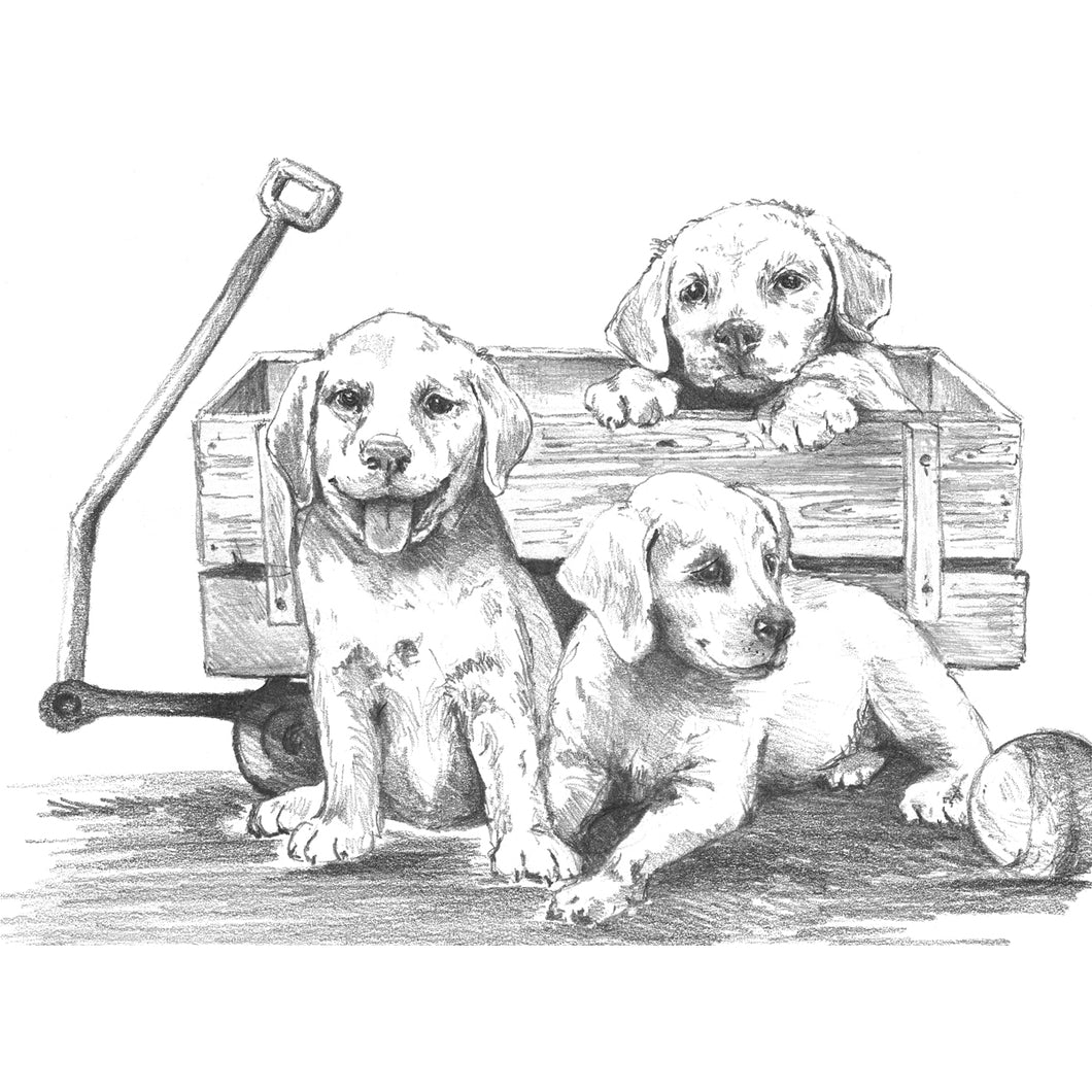 Royal & Langnickel Sketching Made Easy Puppies & Wagon SKBNL10